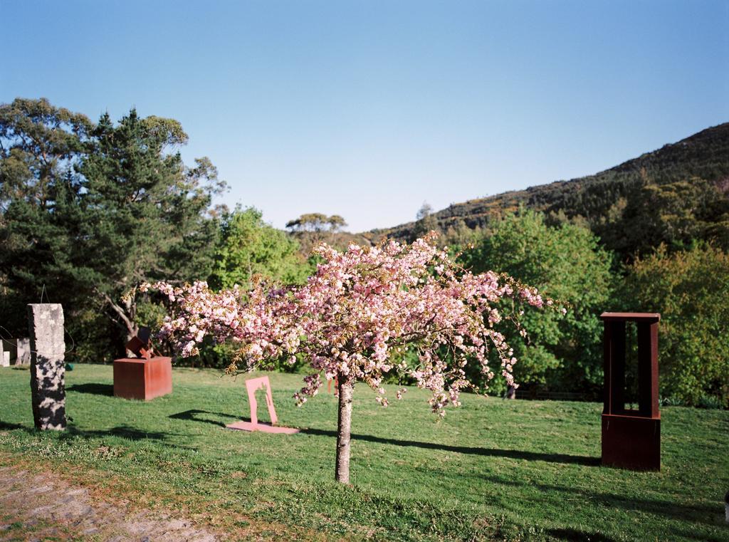 Convento San Payo Villa Vila Nova de Cerveira Dış mekan fotoğraf